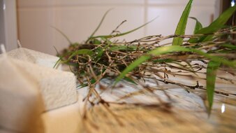 Appartement 2 - "Reiterkogel" Badezimmer Detailaufnahme einer Dekoration | © Haus Tannenblick