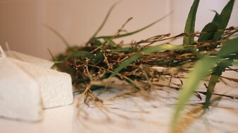 Appartement 3 - "Kohlmais" Badezimmer Detailaufnahme einer Dekoration am Waschbecken | © Haus Tannenblick