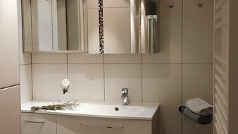 Ein Blick in das Badezimmer von Appartement 4 - "Schattberg" mit Waschbecken, Handtuchtrockner und Dusche | © Haus Tannenblick